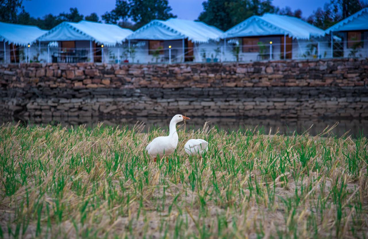 Padmavati Lake Resort Chittorgarh Exteriör bild